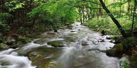 風管人丁、水管財|风水中“山管人丁水管财”是什么意思？出自哪里？